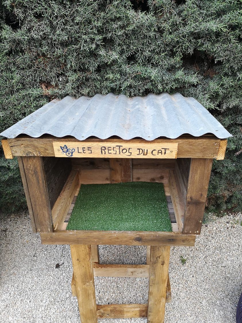 ronique63's tweet photo. Un ptit resto du cat en hauteur...facile et pas chere tout en recup..pour nos ptits chats laissés pour compte..abandonnés..à leur triste sort.. https://t.co/Nl5fuPi8f4