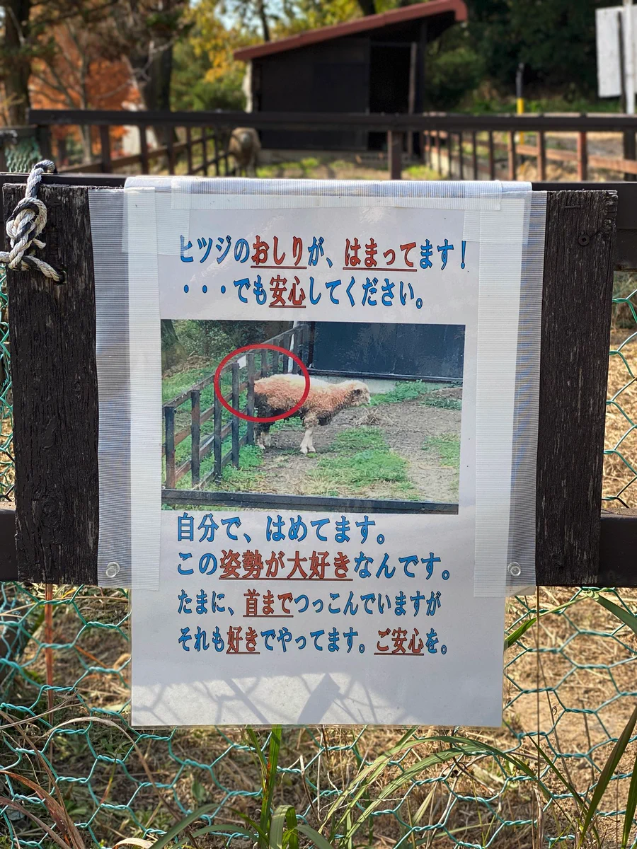 羊のお尻が柵にはまってしまっている！？自分ではめて楽しんでいたwww