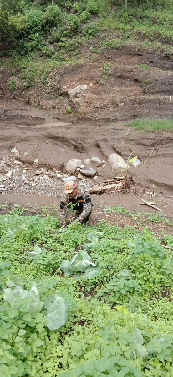 Banser Kota Batu ikut serta dalam gerakan penanaman pohon dibekas lokasi yang menyebabkan terjadinya banjir bandang di Kota Batu beberapa waktu lalu #BanserMaju1Barisan #BanserTanggapBencana