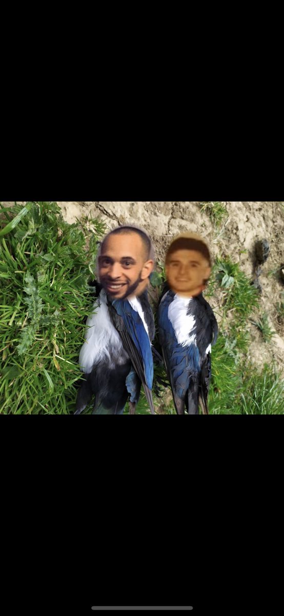 Today’s result- TNI 3-0 <a href="/MagpiesLE/">LongEatonMagpies</a> You can keep Ballsy n lynton after that, T T TNI🔴⚫️🔴⚫️