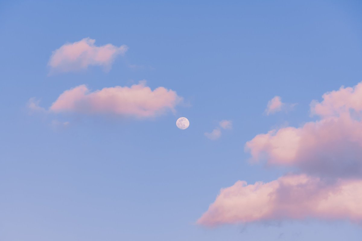 Akine Coco tweet media