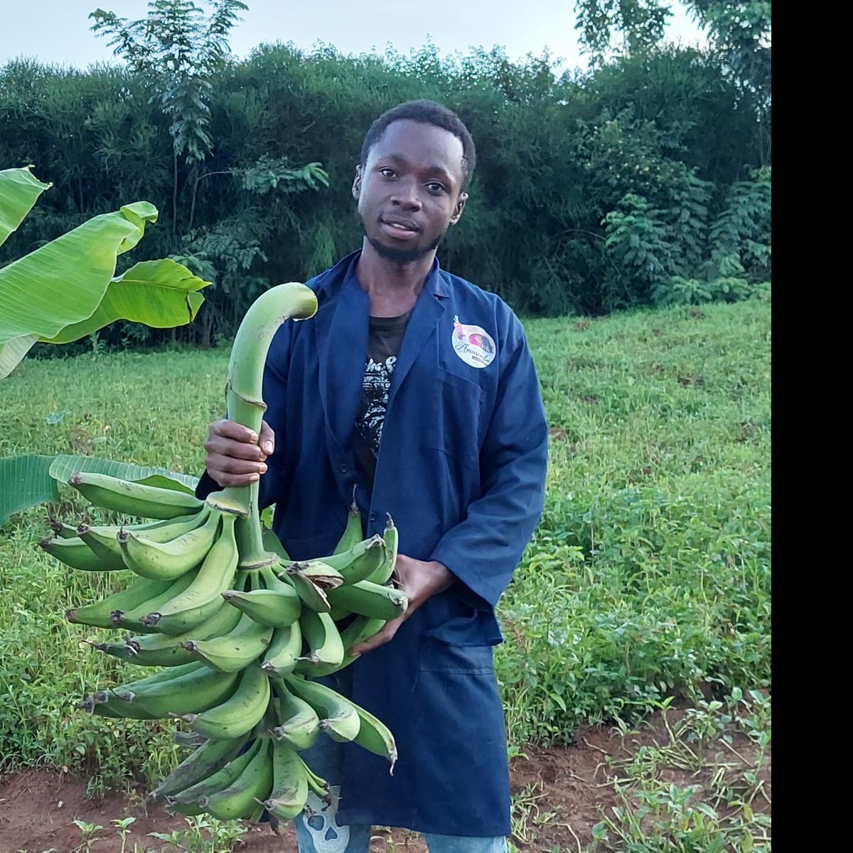 AmaremboFarm's tweet photo. A few sights and sounds from Amarembo Lakeside Farm. You wanna pay us a visit , DM us. https://t.co/ekdb8zzZiK