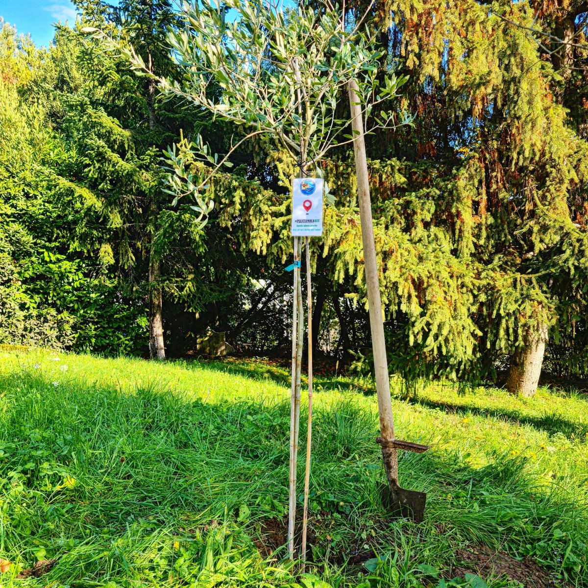 #Piantiamolaqui è la nuova campagna per l’ambiente che lancia “5 Terre Academy” nella giornata mondiale dell’albero e delle foreste.
youtu.be/4yV90ZV9bRY

#giornatamondialealbero #foresta #albero 🌳