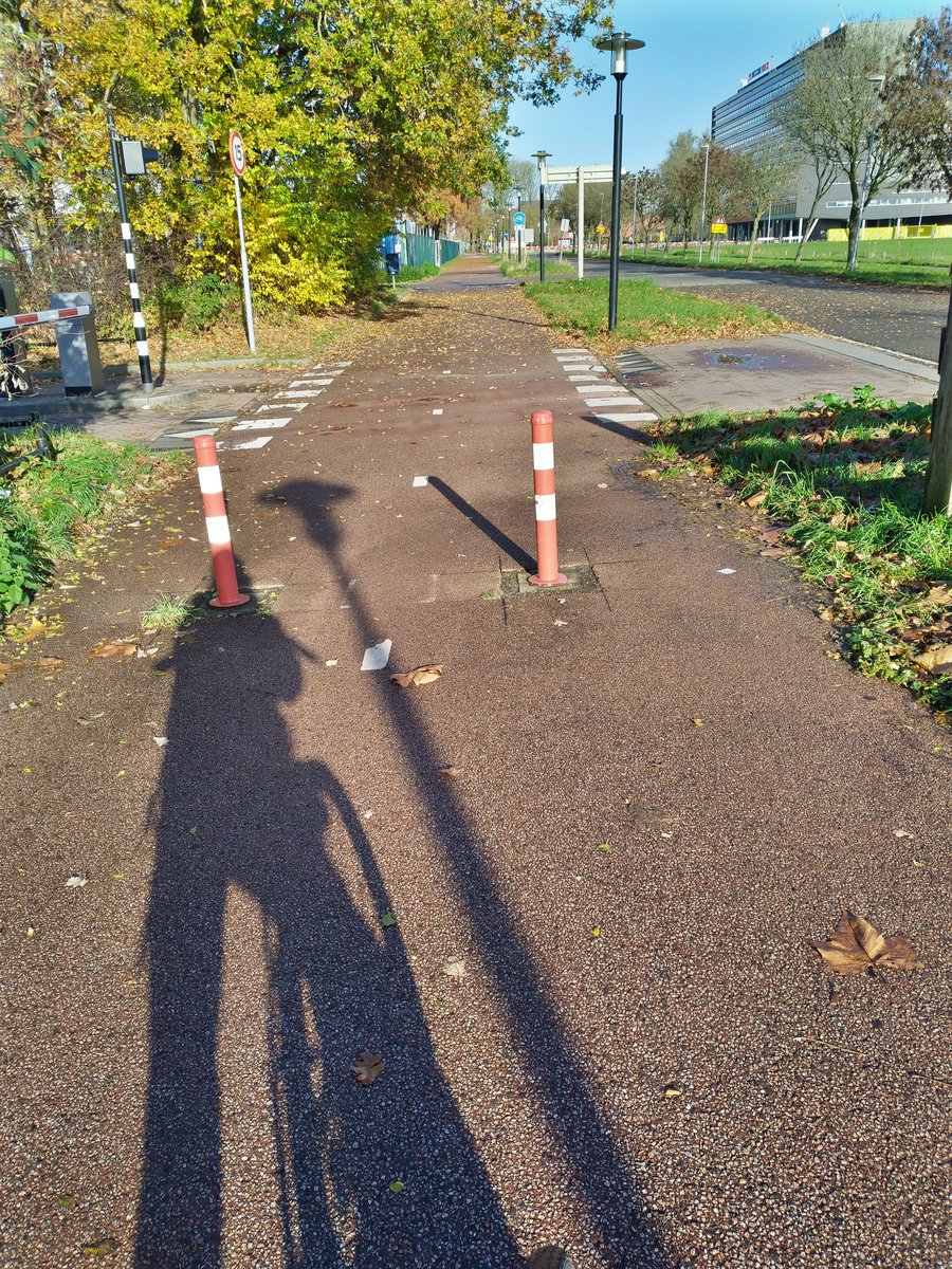 Paaltjes op deze manier op een tweerichtingsverkeer fietspad 🤔 <a href="/GemeenteUtrecht/">Gemeente Utrecht</a> @utrechtfietst USP Helsinkilaan thv ingang parkeerplaats