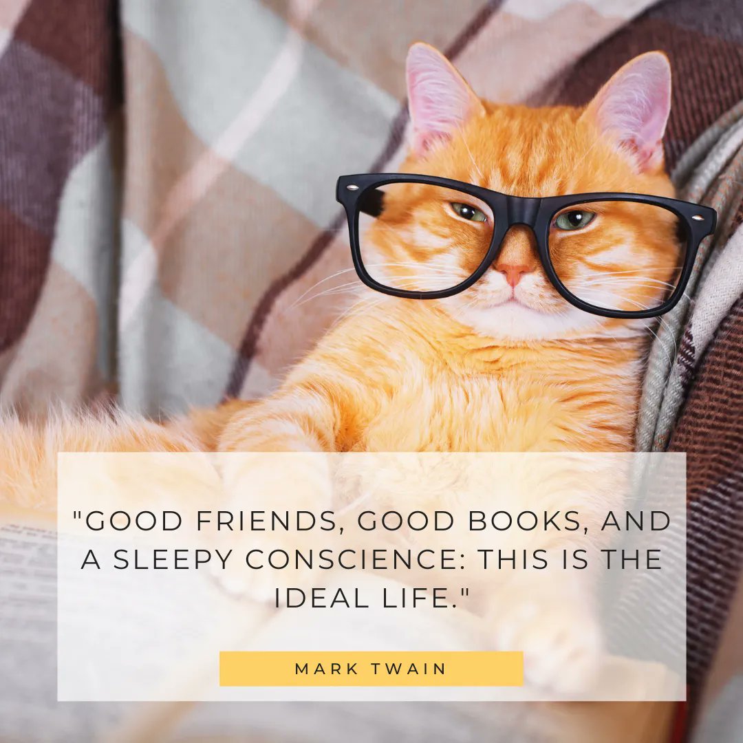 ScratchAndPatch's tweet photo. Don't forget the furry friend to love 🐶  🐱

#MondayMotivation #scratchandpatchfamily #scratchandpatch #petinsurance #petcare #cat #dog https://t.co/1JxWRh7pIZ
