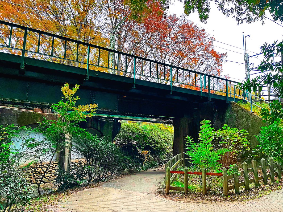 frankc8's tweet photo. I don’t know why, but I like this spot.
#井の頭公園 #井の頭線 #秋 #紅葉 #InokashiraPark #InokashiraLine #autumn #AutumnColors #写真好きな人と繋がりたい https://t.co/FNdk9laLEw