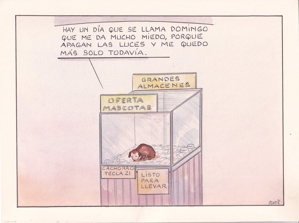 pacocatt's tweet photo. Mi viñeta de hoy domingo 21 de noviembre de 2021. Rem.
FRANCIA PROHIBE VENDER ANIMALES EN TIENDAS. https://t.co/k2DGqk58Ck