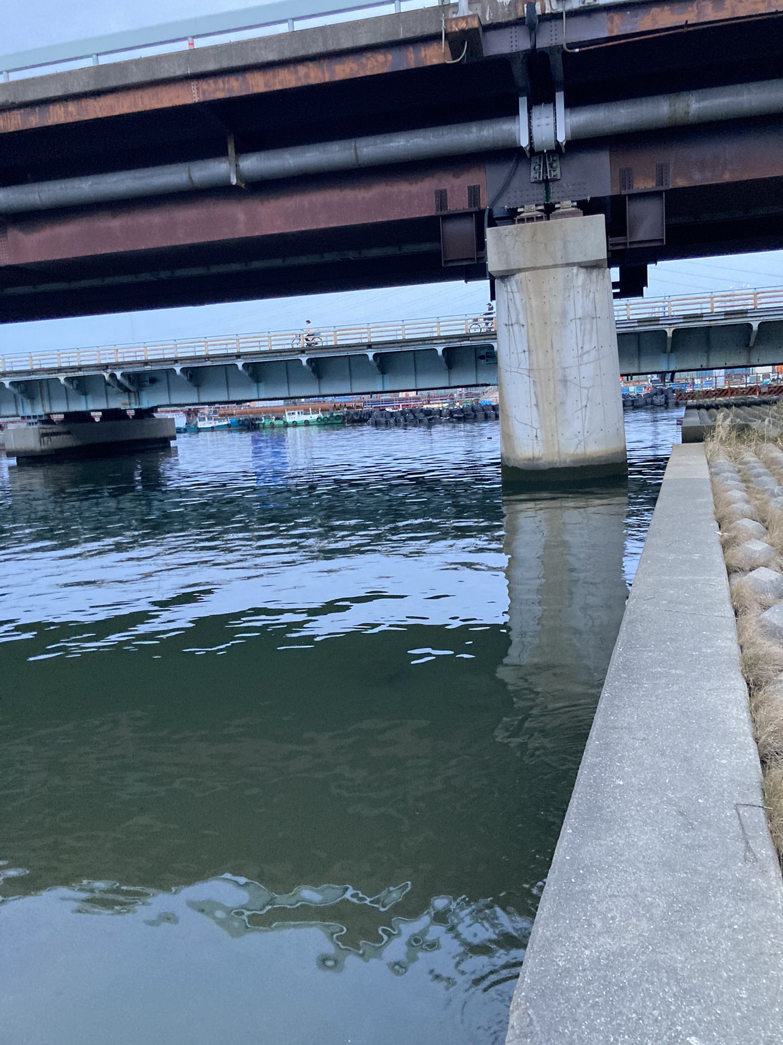 くんそう 釣り 今日は仕事終わり 夕方まずめ時間空いたので淀川行ってきました シーバスとチヌが釣れるポイントみたいです 青野ダムに行けない日はここでシーバス チニングをしたいと思います 淀川 チャリで3分 チニング シーバス