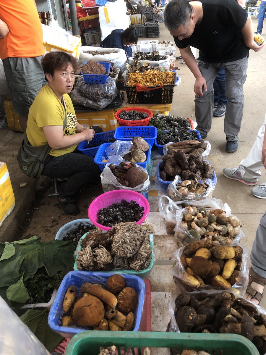 fmartin1954's tweet photo. Stunning diversity of mushrooms sold at the mushroom market in Chuxiong Yi, Yunnan Province …

August 2019 https://t.co/BB0xvdIJHc