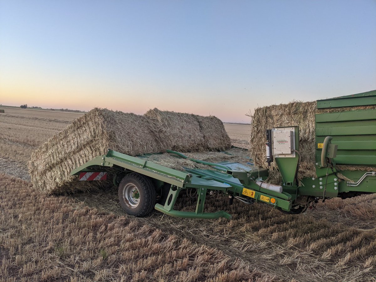 Ben Batters tweet media