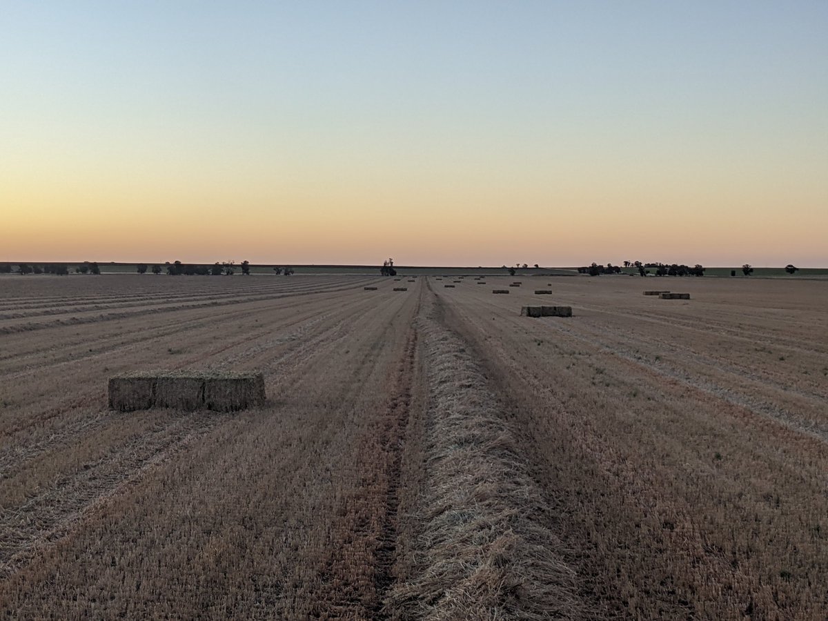 Ben Batters tweet media