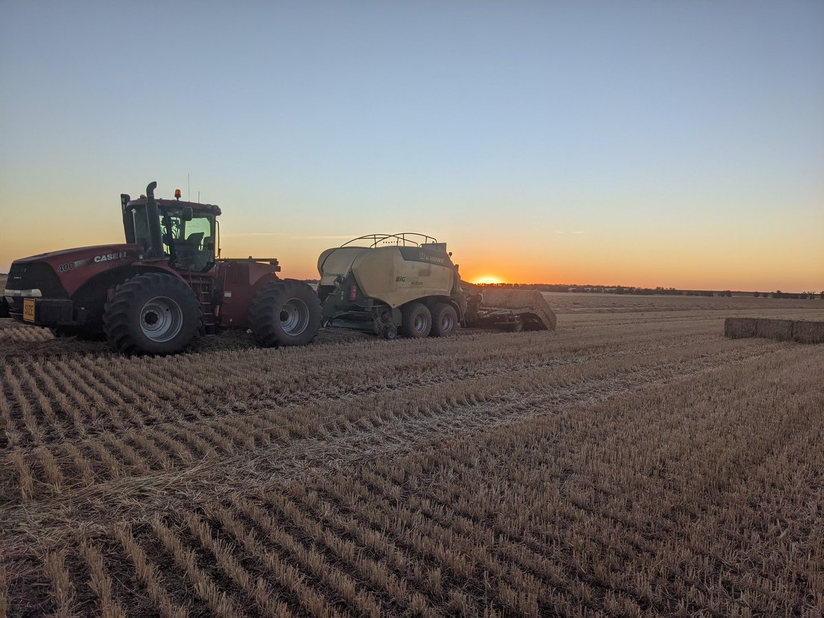 Ben Batters tweet media