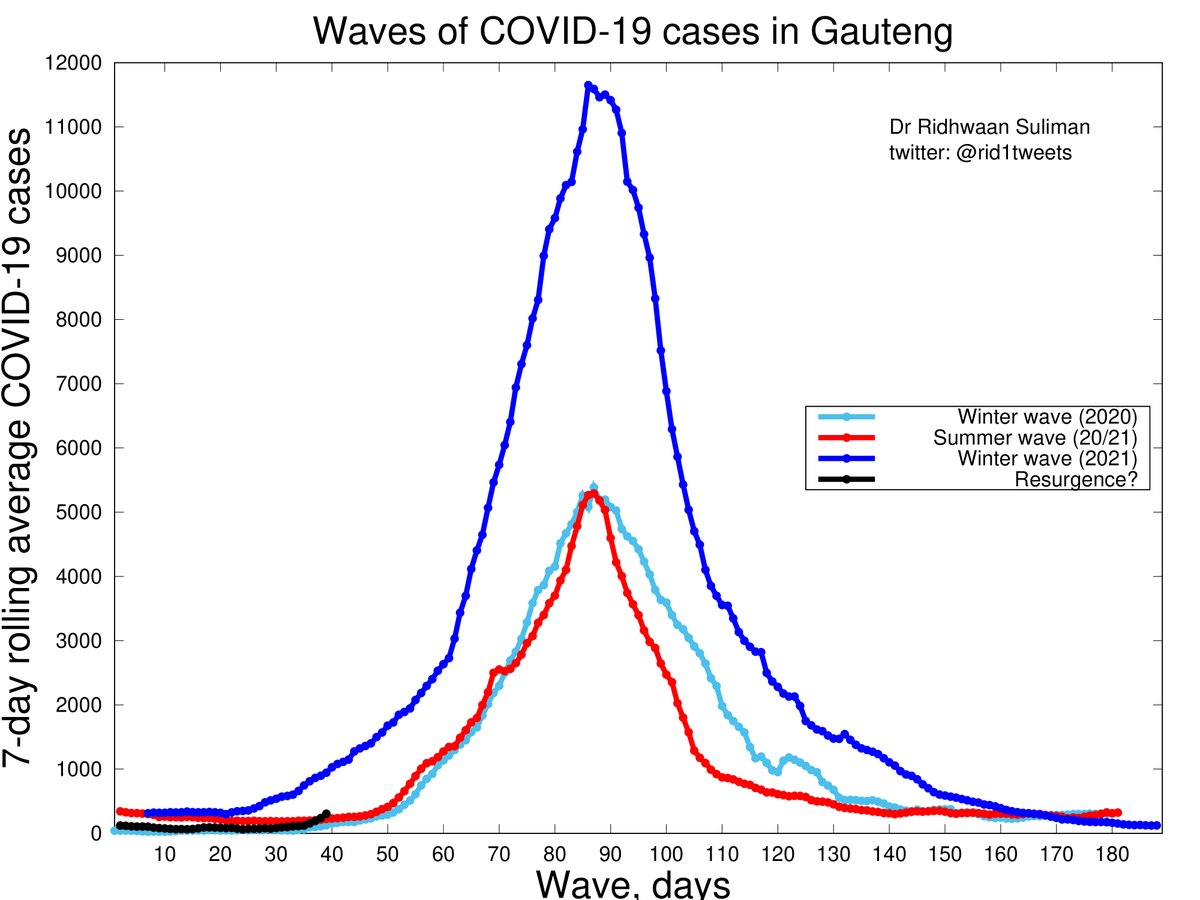 Here we go again? 👀

Number of confirmed #COVID19 cases in Gauteng still relatively low, but a noticeable increase: 7-day rolling avg tripling over the past week 📈

Hoping this is just a minor uptick and increase is not sustained 🤲

#Rid1TweetsOnCovid #Covid19inSA