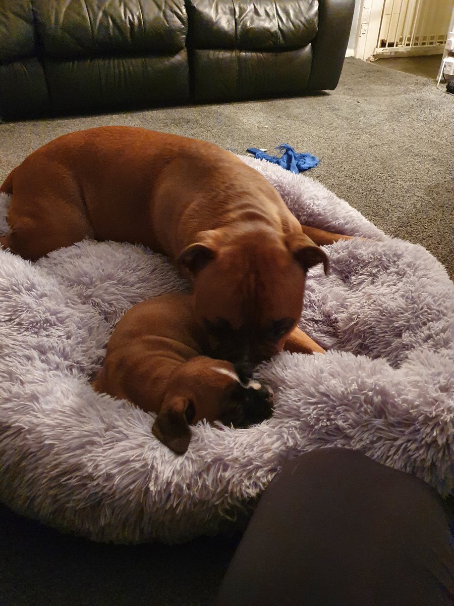 VickyPi58840741's tweet image. Gonna be best friends ❣❣