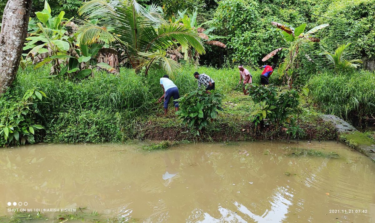 DC_Nicobars's tweet photo. Under #CatchTheRain campaign, #Shramdaan drive for rejuvenation of water bodies with #FruitTree plantation was organised involving local community &amp; officials in Campbell Bay, Nancowrie &amp; Car Nicobar. 
#SaveTheSeedPlantATree
#JalShaktiAbhiyaan 
@MediaRN_ANI 
@jitendra_narain https://t.co/bInBzFV7Bv