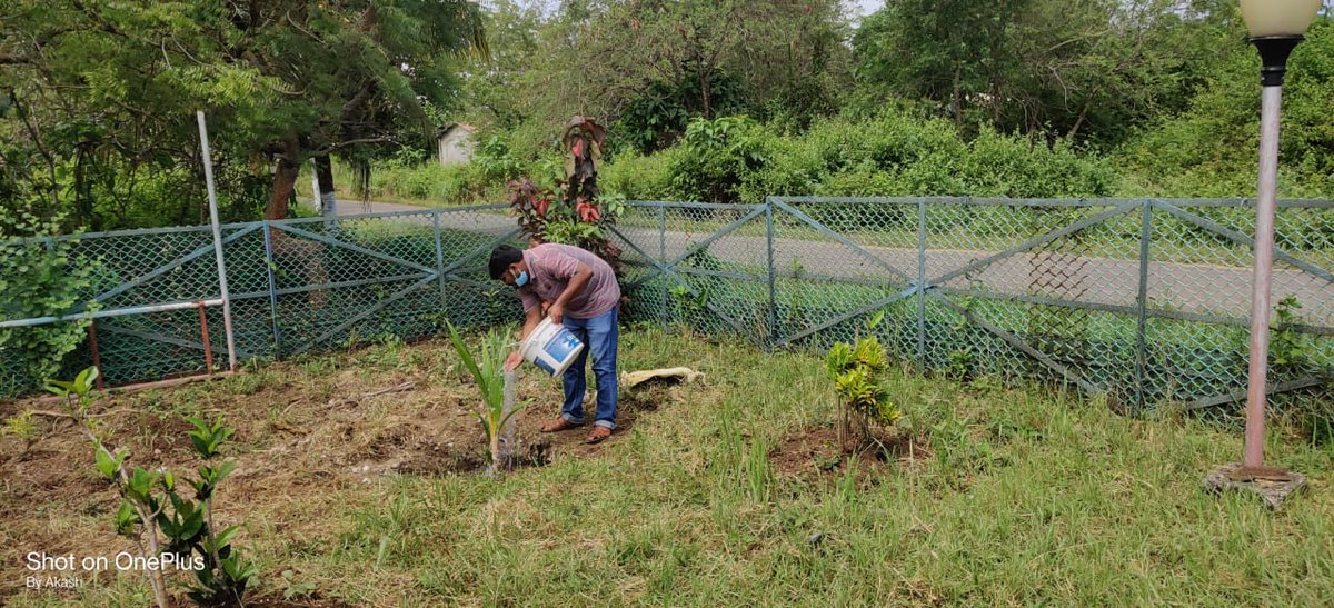 DC_Nicobars's tweet photo. Under #CatchTheRain campaign, #Shramdaan drive for rejuvenation of water bodies with #FruitTree plantation was organised involving local community &amp; officials in Campbell Bay, Nancowrie &amp; Car Nicobar. 
#SaveTheSeedPlantATree
#JalShaktiAbhiyaan 
@MediaRN_ANI 
@jitendra_narain https://t.co/bInBzFV7Bv