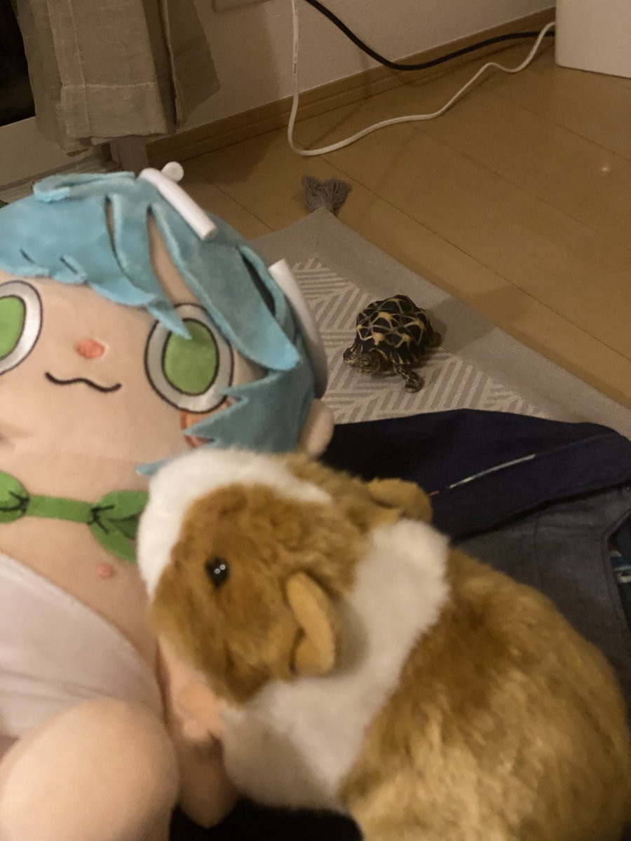 Tenten_37210's tweet photo. 誕生日プレゼントとどきましたー！
泣きそうです。
みなさんありがとう！！

マウスがうごかないぞ🤔 https://t.co/vx21SmP9qO