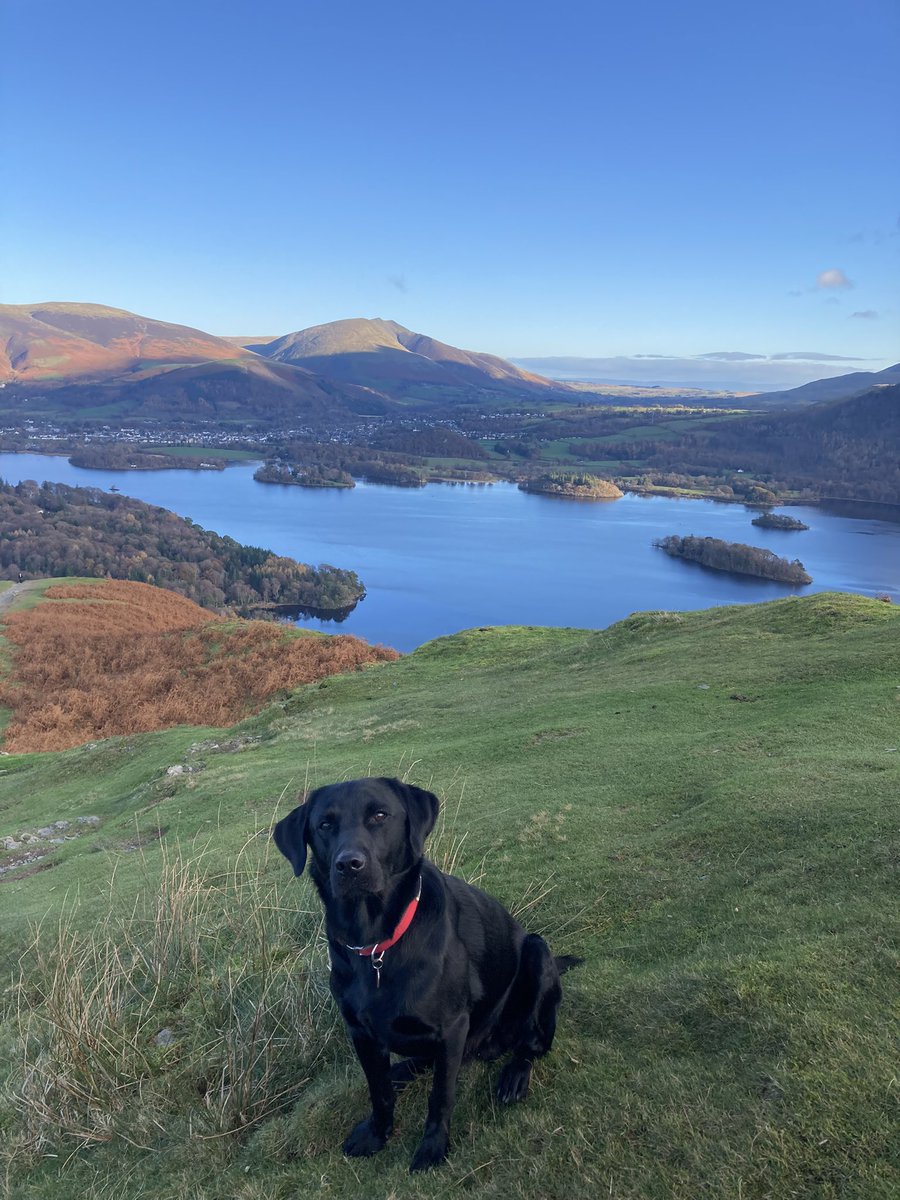danbates_LGi's tweet photo. Beautiful morning in the #LakeDistrict - halfway up Catbells looking back across Derwent Water to Keswick #insearchofup https://t.co/yuckBRXwLn
