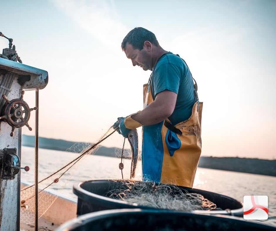 En cette journée mondiale des pêcheurs, soutenons nos artisans et travailleurs de la mer. 🎣 ⛵