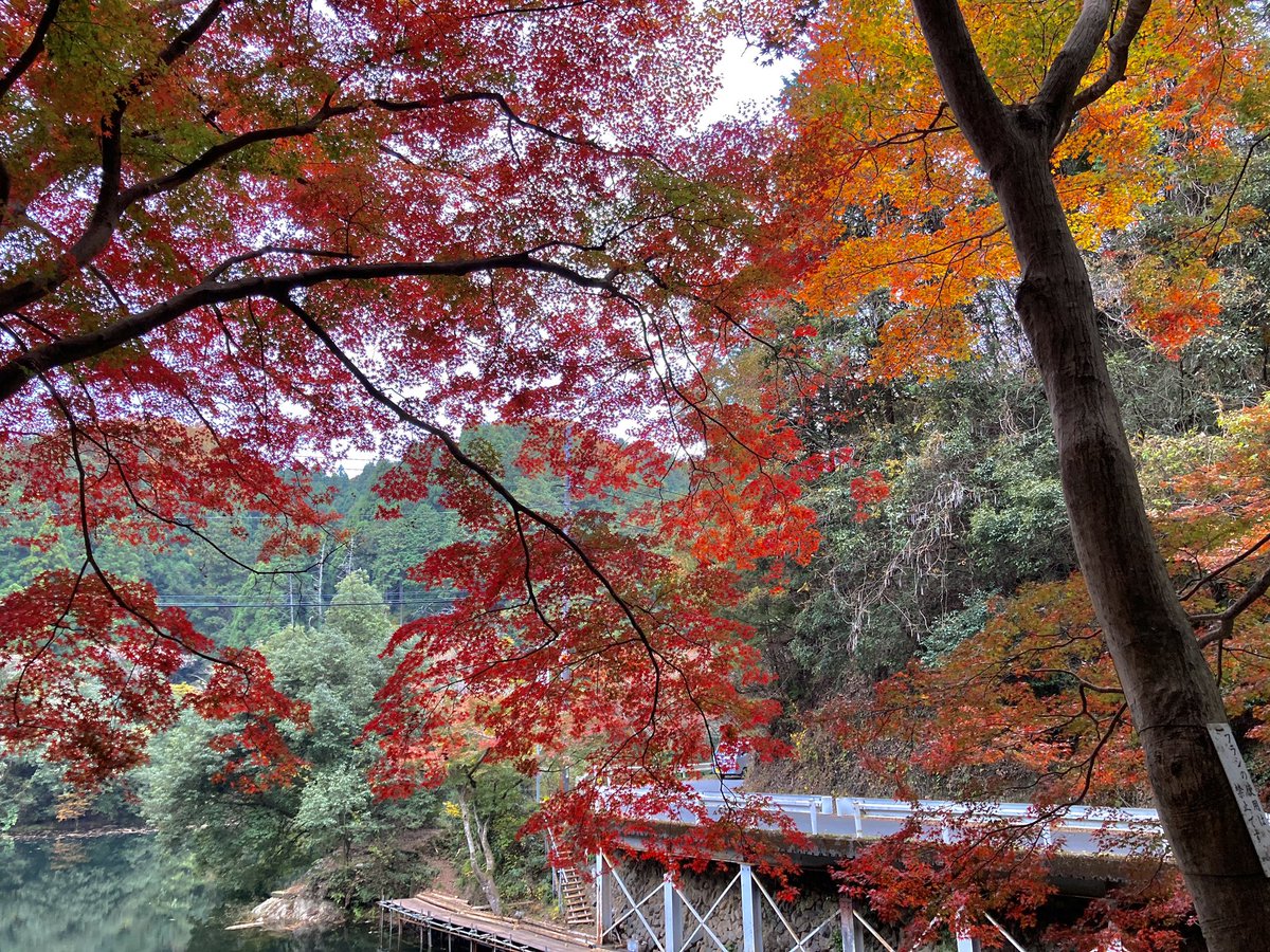 あっこ tweet media