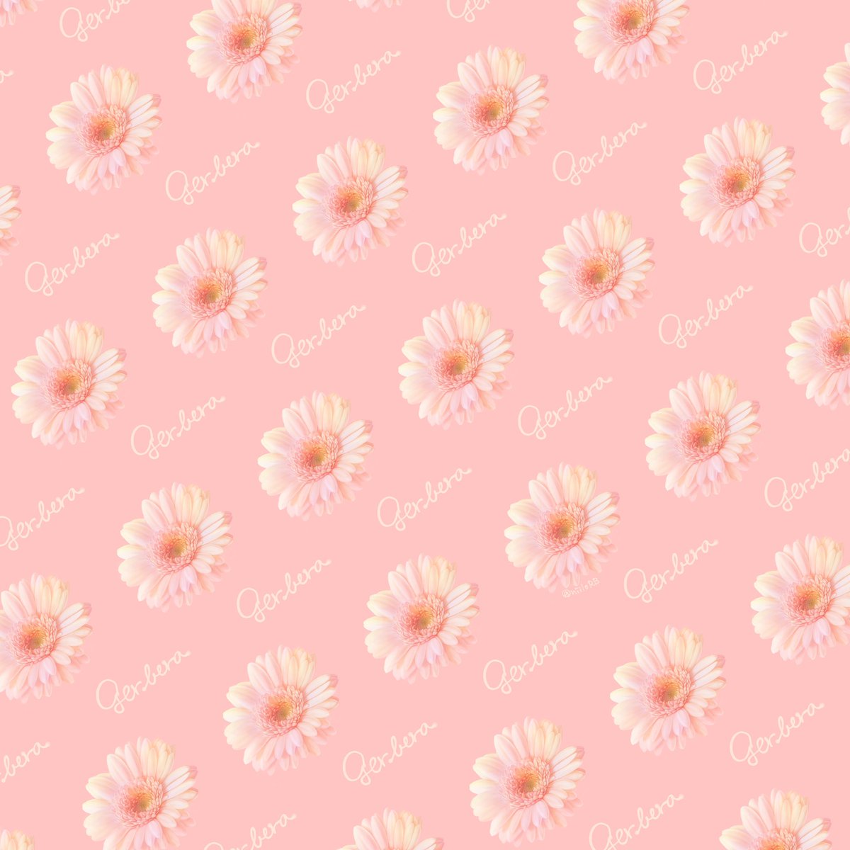 niiloRB's tweet photo. 【お花の壁紙シリーズ】
7枚目はガーベラ
花言葉は「感謝」「希望」

個人利用に限り保存OKです🙆‍♀️

1週間毎日投稿終了！
◀︎昨日はネモフィラ
#TLを花でいっぱいにしよう #絵描きさんと繫がりたい #イラスト好きさんと繋がりたい #illustration #イラスト #壁紙配布 https://t.co/aKHAeXtFfm