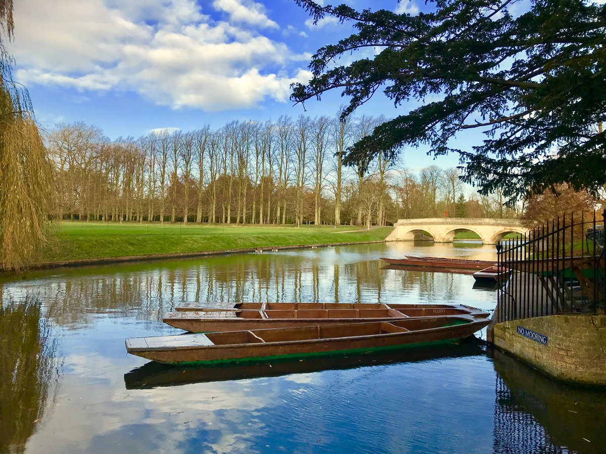 Charlot King tweet media