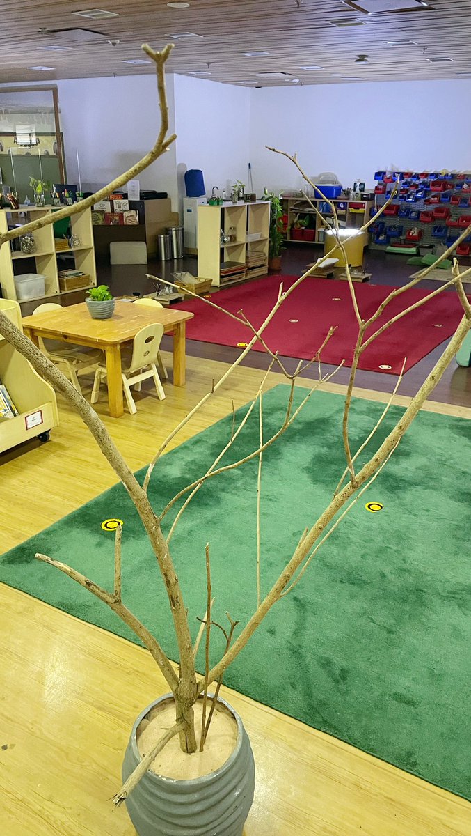 angelameelee's tweet photo. Excited to work with Grade 2 and Grade 3 this week in their own atelier spaces #asbindia #performingarts #hundredlanguages #learningspace https://t.co/79cMDi4btV