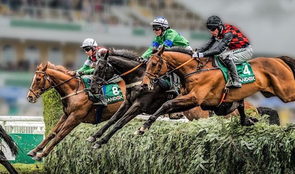 Racing Social tweet media