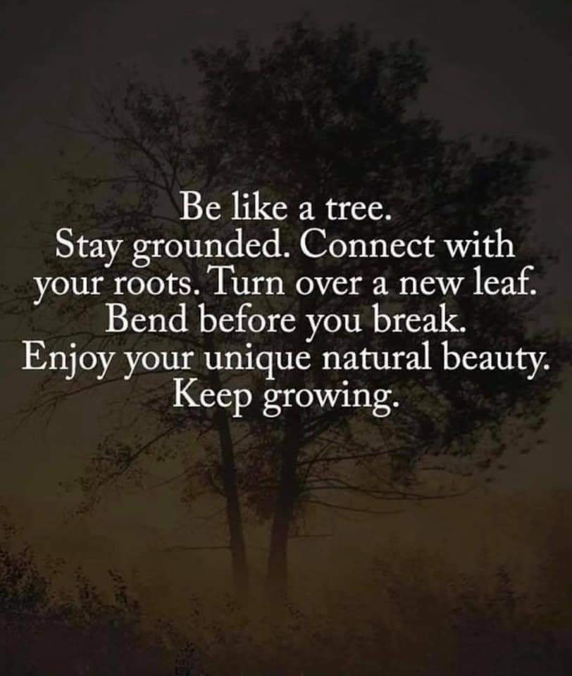 HakimBGZ's tweet photo. #plantlyfe https://t.co/qd1afHBeBh