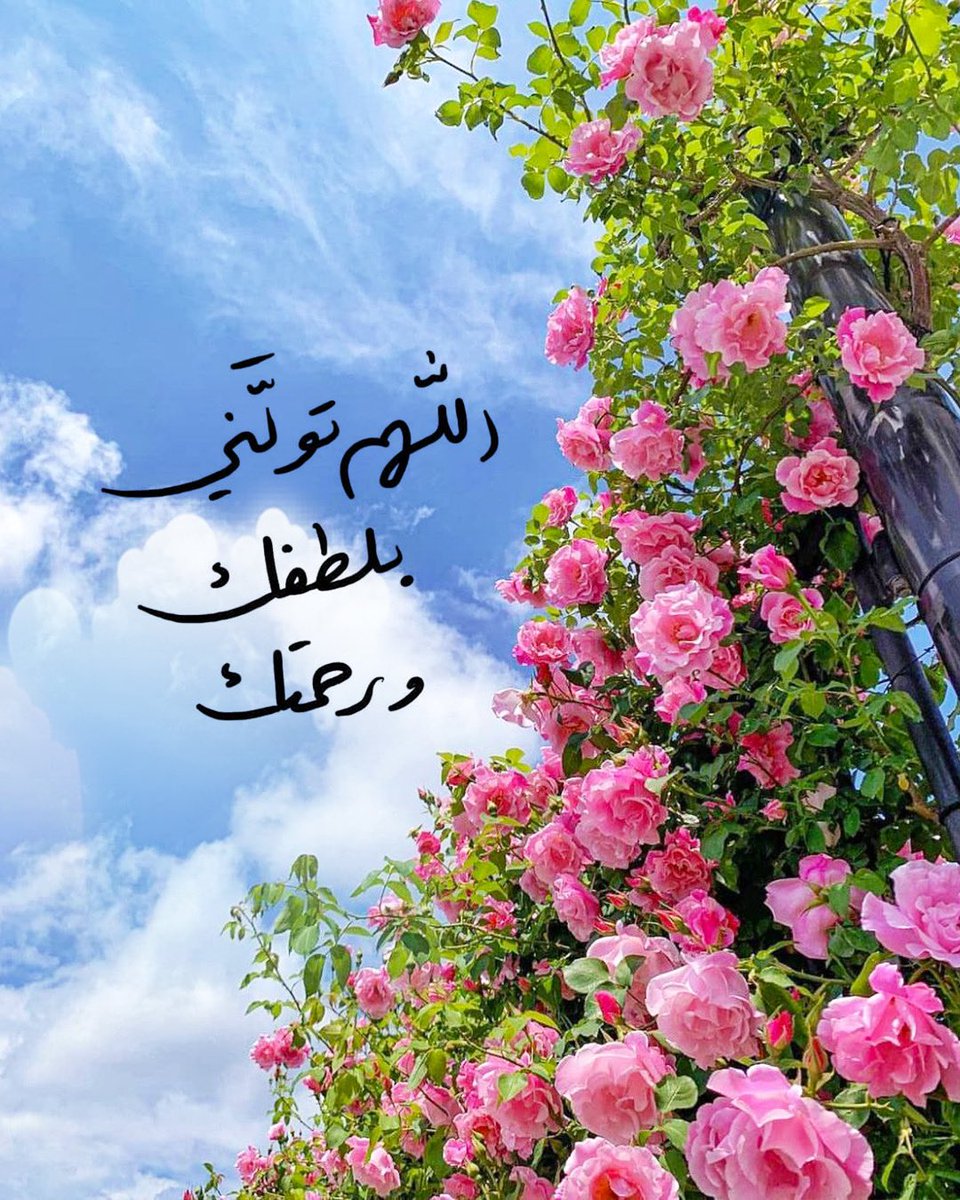 🦋🌸
اللهُم تولّني بلُطفك ورَحمتك💖🌧 
✨
#صباح_الخير
#مساء_الخير
#الوتر
#ساعة_استجابة 
#الخميس 
#الجمعة 
#الكهف