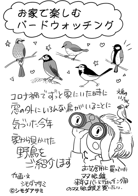 今日のコミティアの無配ペーパーです。野鳥に興味ある人がたくさんいて嬉しかったです!私も今年から野鳥に興味を持ち始めました! 