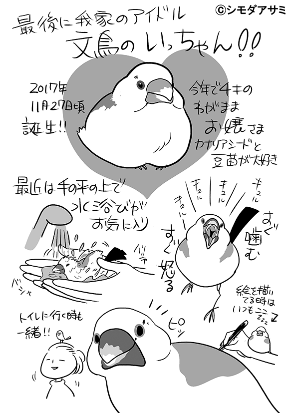 今日のコミティアの無配ペーパーです。野鳥に興味ある人がたくさんいて嬉しかったです!私も今年から野鳥に興味を持ち始めました! 