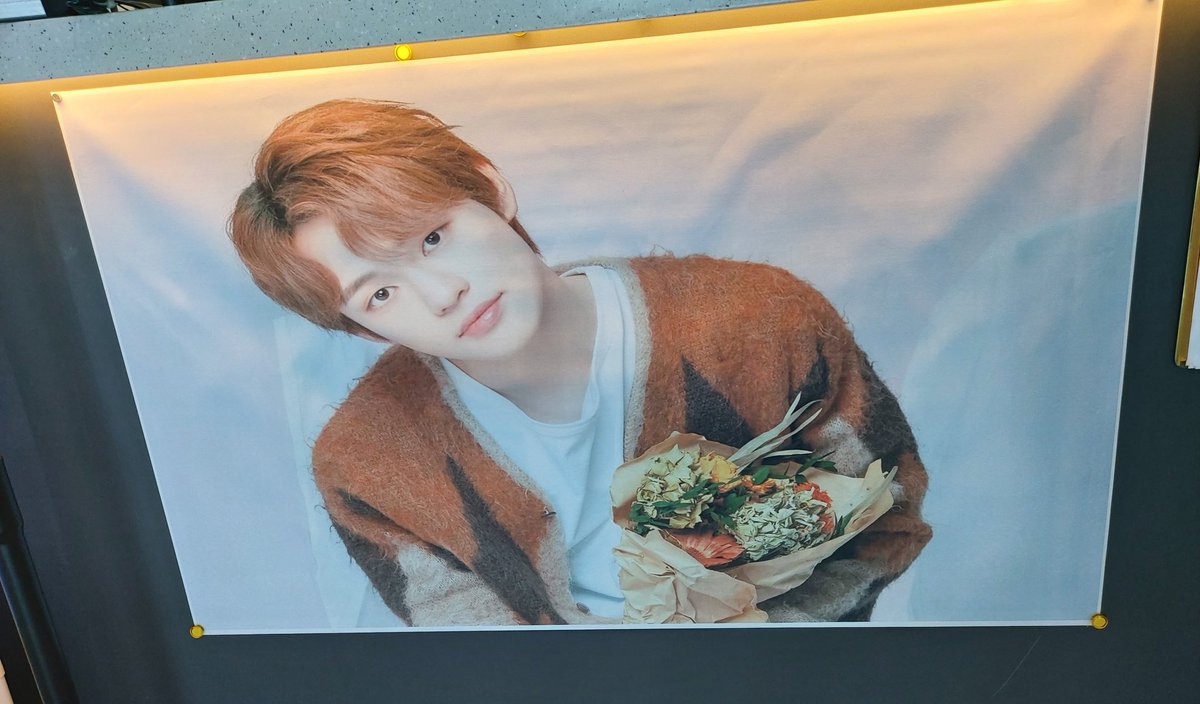 하엘(HA.L) tweet media