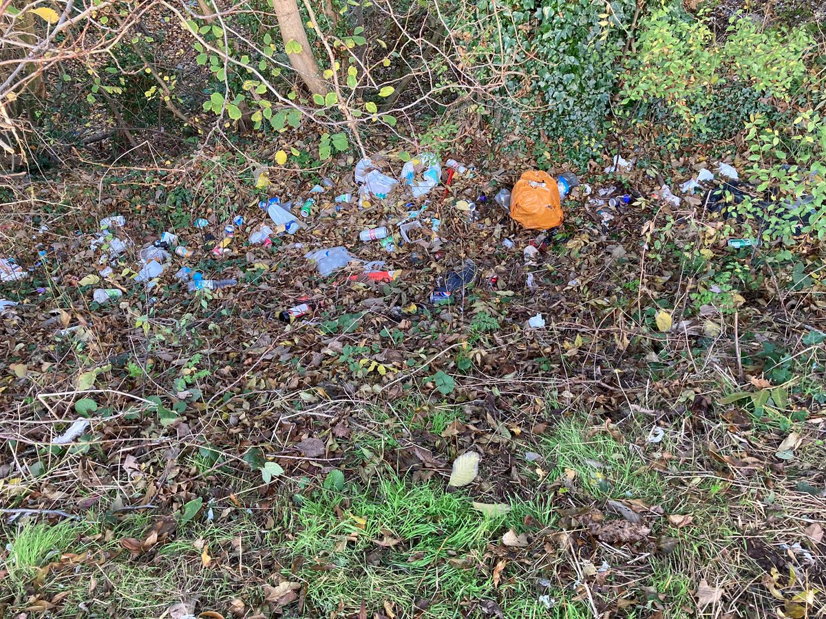 sarahbontour's tweet photo. Out with 14 other wombles this morning and managed a good 83 bags plus tyres, tv and other general large stuff. #wombles #nllw #actionnotwords #everybagcounts #litter #keepbritaintidy #oneworld #ourworld https://t.co/fagyNAY2Hn