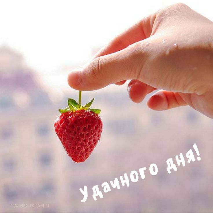 kalinin_v's tweet photo. https://t.co/UwL23CQ6LQ