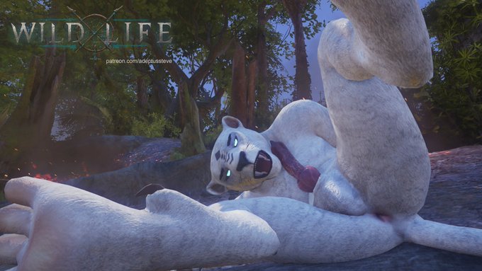 Hey there Wild Life friends and community!  I'm still here, and making videos, however I have to wait