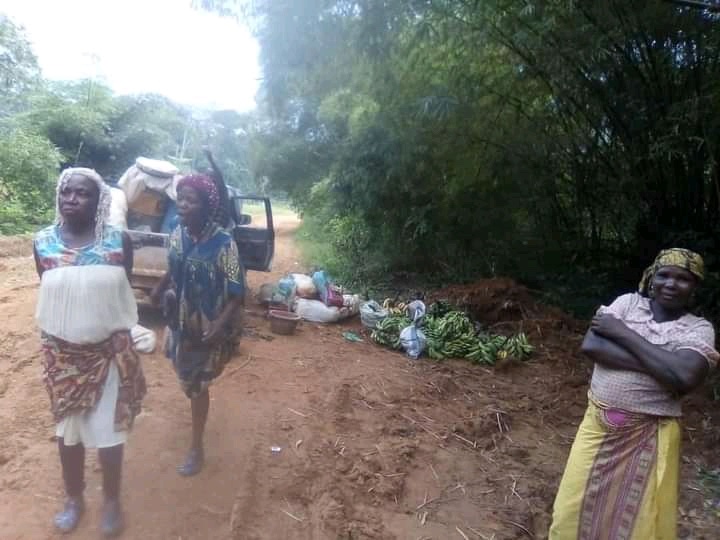 RadioCultureFm's tweet photo. #Décentralisation #Infrastructures #Route #Nsola-Bipindi #Océan

La route Nsola-Bipindi des bourbiers à n'en plus finir.

Un véritable frein au développement de la commune de #Bipindi.

En est-il de même des routes de toutes les communes?

Réponses attendues sur @RadioCultureFm https://t.co/UDOukNkssi