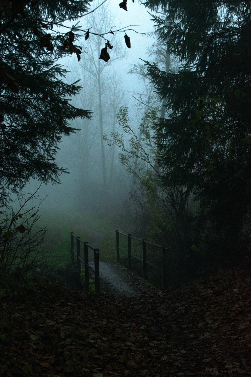 innnktlp's tweet photo. the creep #photography https://t.co/dv938hupjD