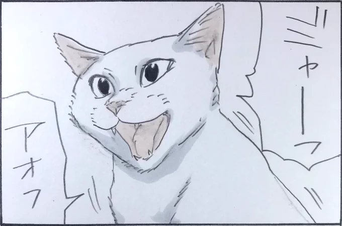 『何がお望み?』 