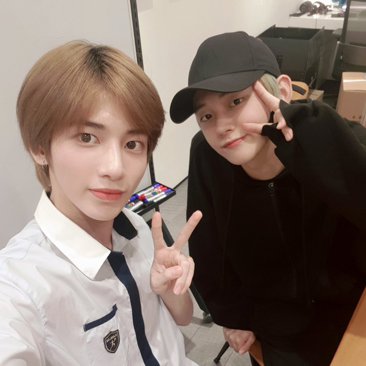 T190118H's tweet photo. 셀카로 보는 냥냥즈 성장🥺 https://t.co/TUQUGYkD4D