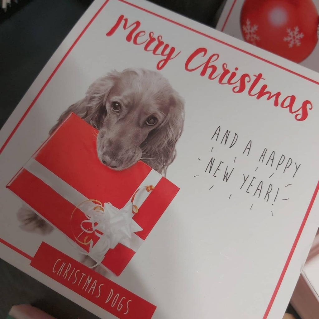 wonky_tree's tweet image. A dog is for life not just Christmas :) . A fabulous box of dog Christmas cards by @mint_publishing. 4 designs 5 of each design.
#supportsmallbusiness #buylocal #dogsofinstagram #justacard #christmas market #greetingcards #smallbusiness