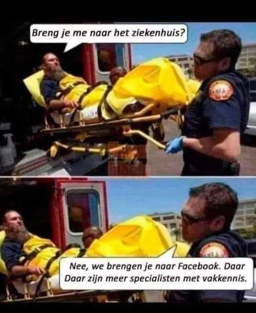 petervdvloet's tweet image. 