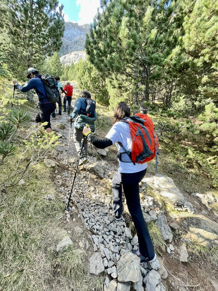 Pasando de nivel S1 a S2 en el tipo de ruta ¿Que de qué estamos hablando? De una escala objetiva asociada a los itinerarios, de forma que sepáis exactamente dónde os estáis metiendo. Apuntaros a la beta si queréis ser de los primeros en disfrutarlo dersu.us5.list-manage.com/subscribe?u=09…