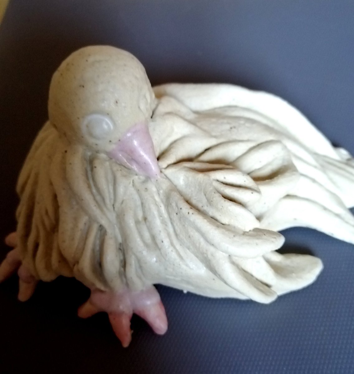 Tonamilazzo's tweet photo. Corona Zeit, zwei Vögel, einer liegt auf dem Boden, der andere ist auf dem Boden gepresst, leere Augen, offener Schnabel, gespreizte Krallen https://t.co/cL6r9zseHp