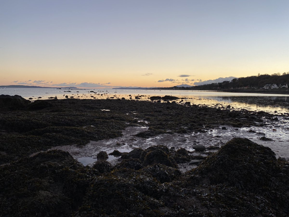 mrhodga's tweet photo. So blessed to have this beach in front of my house. Gorgeous wintery sunset colours on the dog walk at about 4pm. #Innellan #Scotland #Argyll #beach #WinterSunsets https://t.co/II77qElwnX