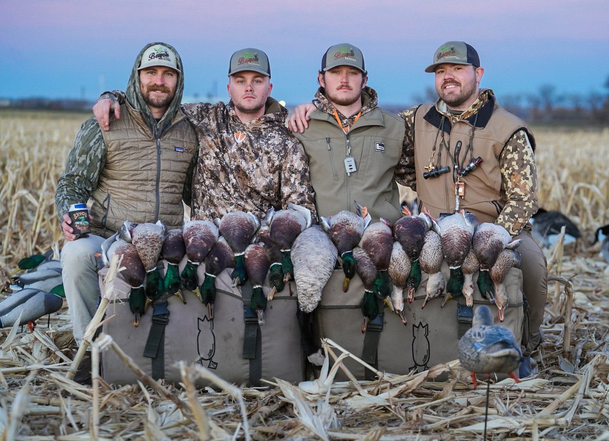 ccduckcall17's tweet photo. Mallards are doing it dirty in the corn fields!!! https://t.co/Vf11JRcKb8