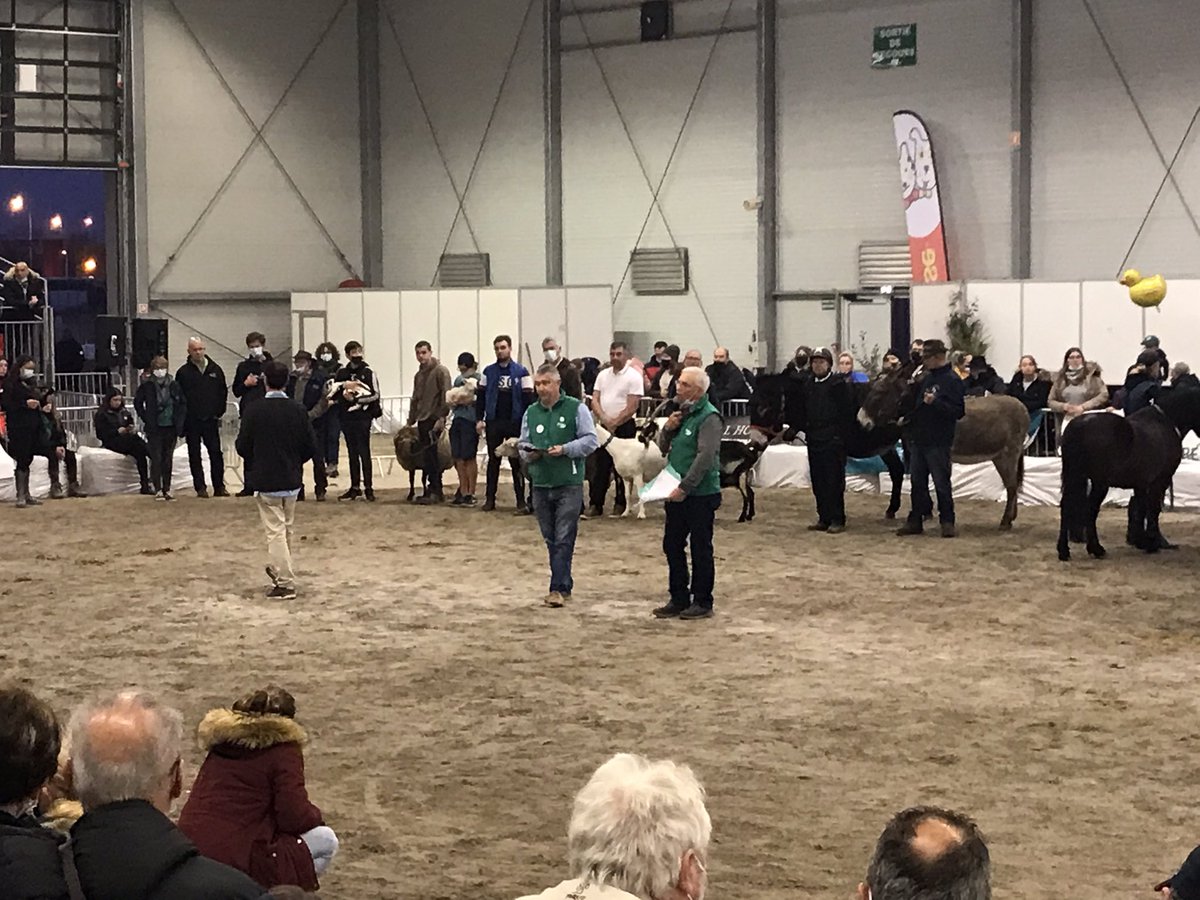 Ferme Expo Tours (@fermeexpotours) on Twitter photo Défilé des champions sur le ring du hall B avec tous les animaux primés du salon et remerciements des jeunes et leur participation pendant les 3 jours.
Un grand bravo à tous !
<a href="/Chambagri37/">Chambre d’agriculture 37</a> <a href="/villedetours/">Ville de Tours</a> Défilé des champions sur le ring du hall B avec tous les animaux primés du salon et remerciements des jeunes et leur participation pendant les 3 jours.
Un grand bravo à tous !
<a href="/Chambagri37/">Chambre d’agriculture 37</a> <a href="/villedetours/">Ville de Tours</a>