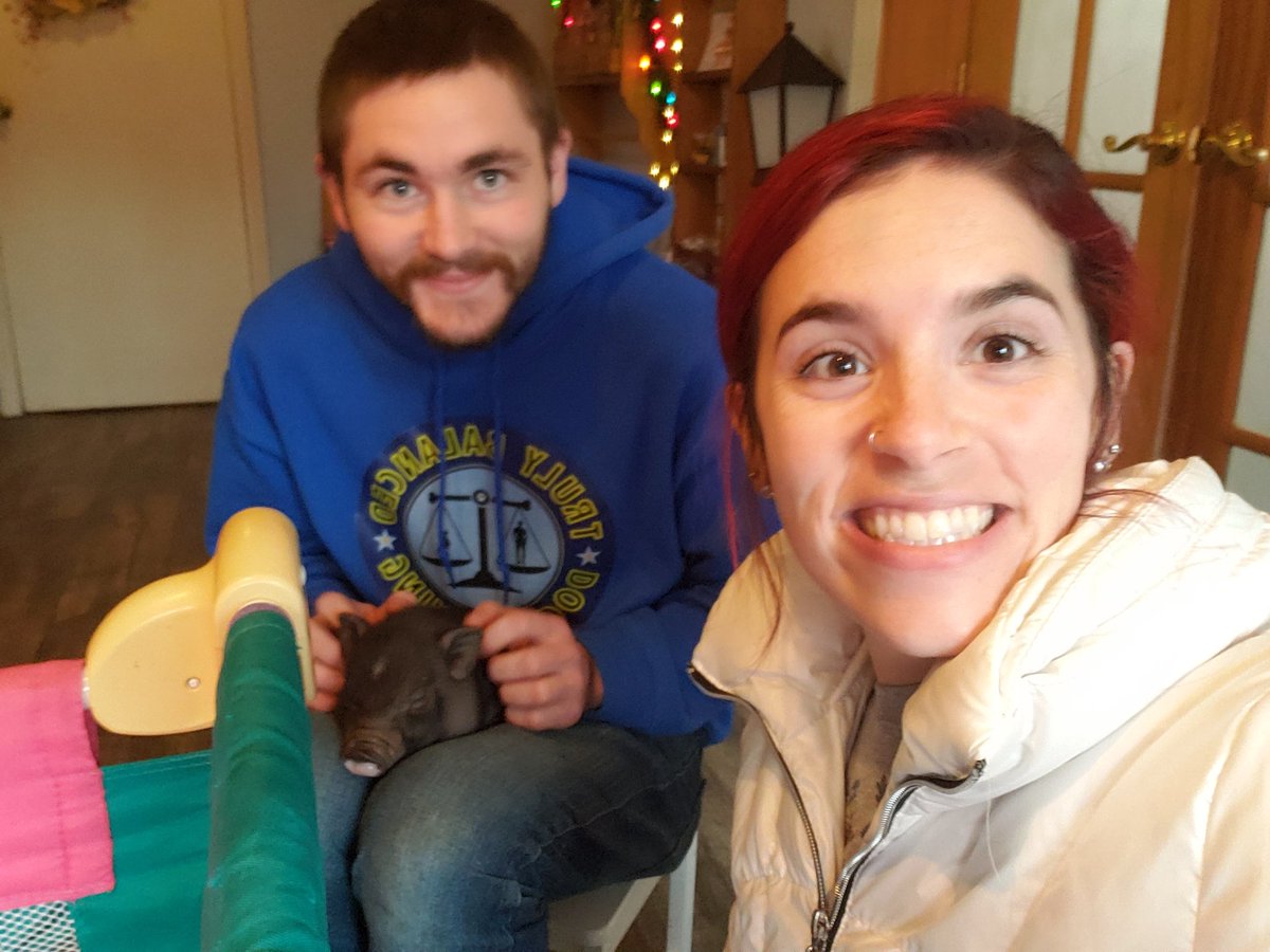ToriLoving's tweet photo. We are pig parents!! Meet Philip 🐖🐽 https://t.co/8OL8rDB3RL