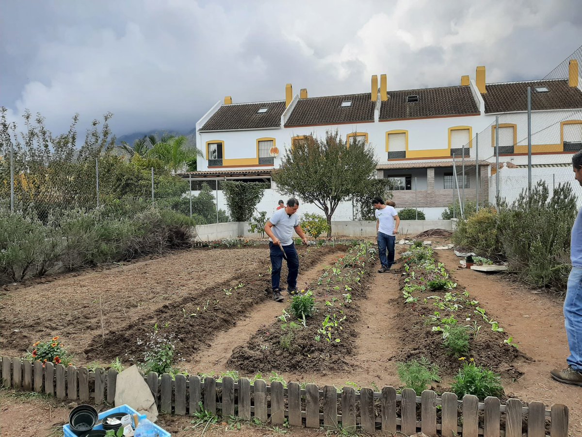 CeipVargasLlosa's tweet photo. Profesores y familias trabajando en nuestro huerto #arboretum @ProEdSaludable @EcoescuelasAND @EducaAnd https://t.co/tJeRIWrAHG