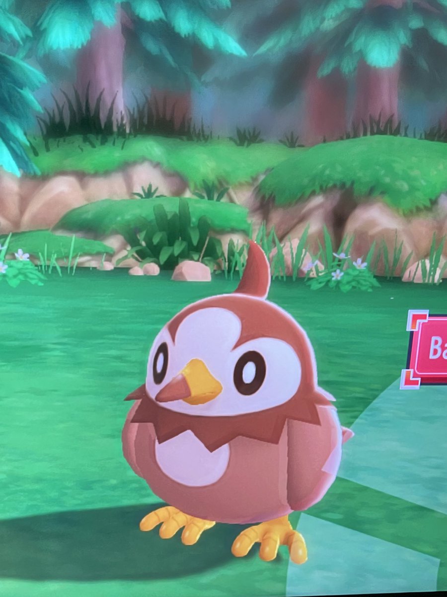 That's a weird looking shiny Piplup <a href="/ProperGoodGames/">Retbros</a>